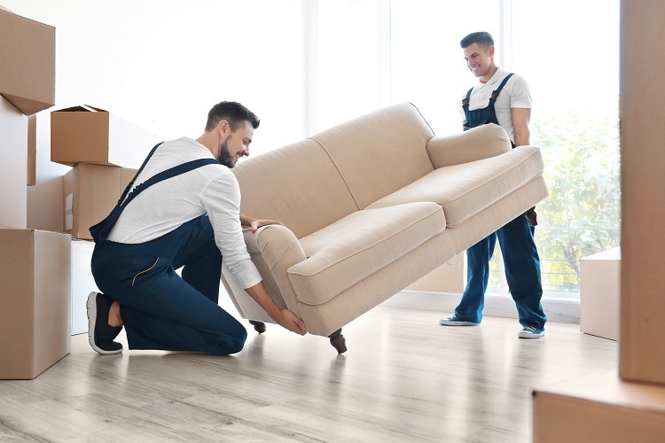 Quality Furniture Removals Services From Experienced Companies