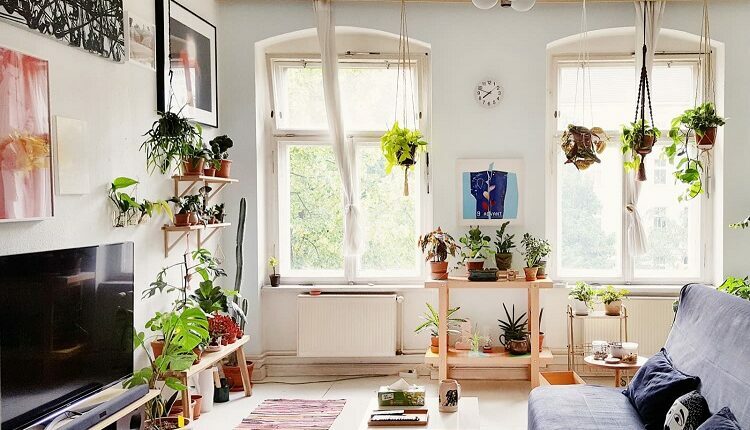 Ideal Indoor Humidity Level For Your Home
